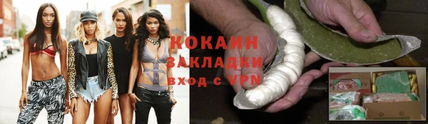 стафф Алексин
