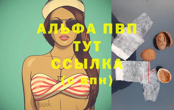 стафф Алексин